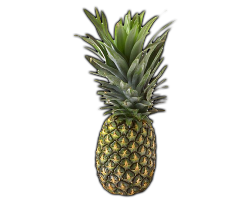 FRUITS - PINEAPPLE, Learn about Pineapple, Pineapple Lessons, Pineapple